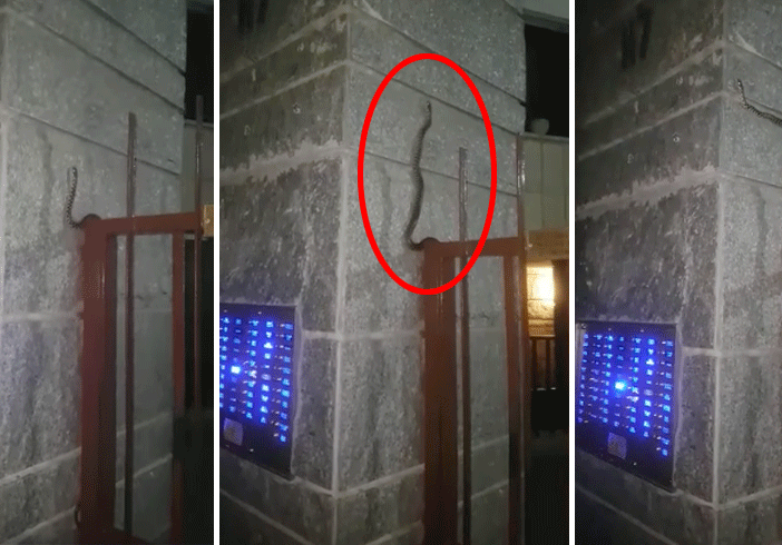 Foto e video presi da Verderosa Grazia, Gruppo Facebook &quot;sei di Borgo Vittoria Se&quot;