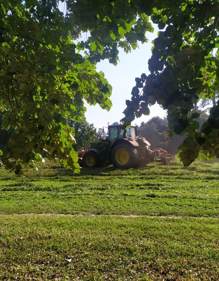 foto di repertorio