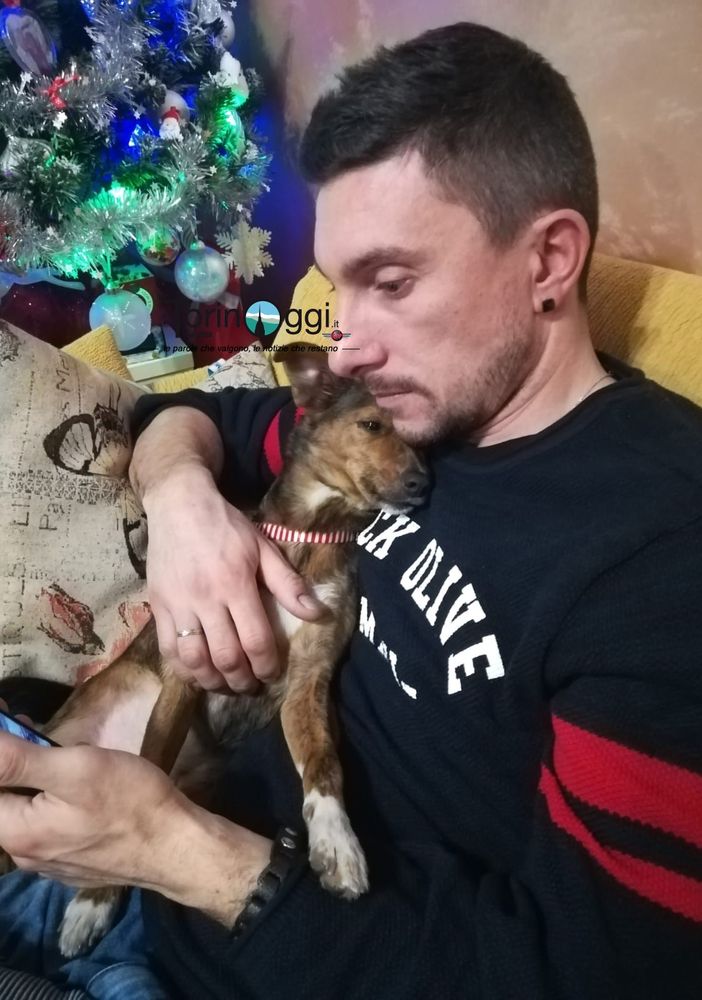 Miracolo di Capodanno: Shelby è tornata a casa dopo 48 ore in fuga dai botti