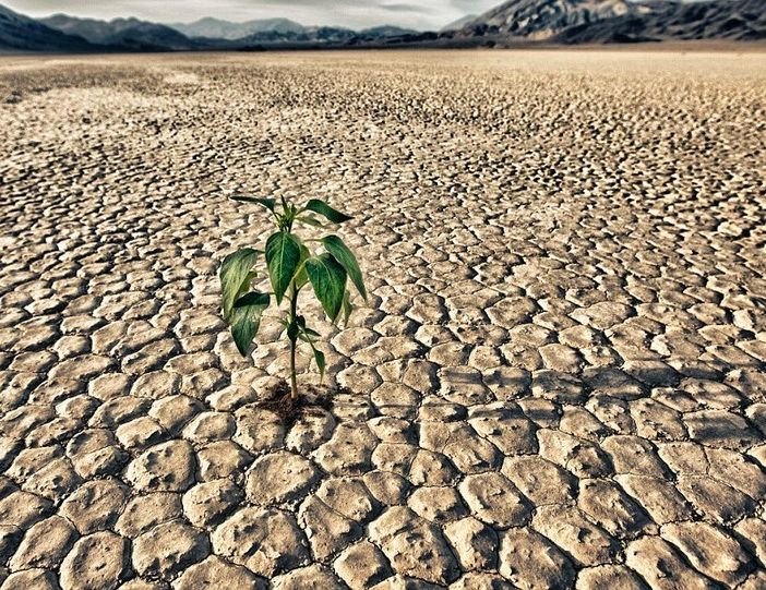Crisi idrica: Pinerolo emana l’ordinanza per limitare l’uso dell’acqua potabile