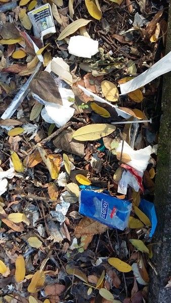 Spina 3, al lavoro per il Piano di sviluppo annuale. Sponda comitati-Circoscrizione