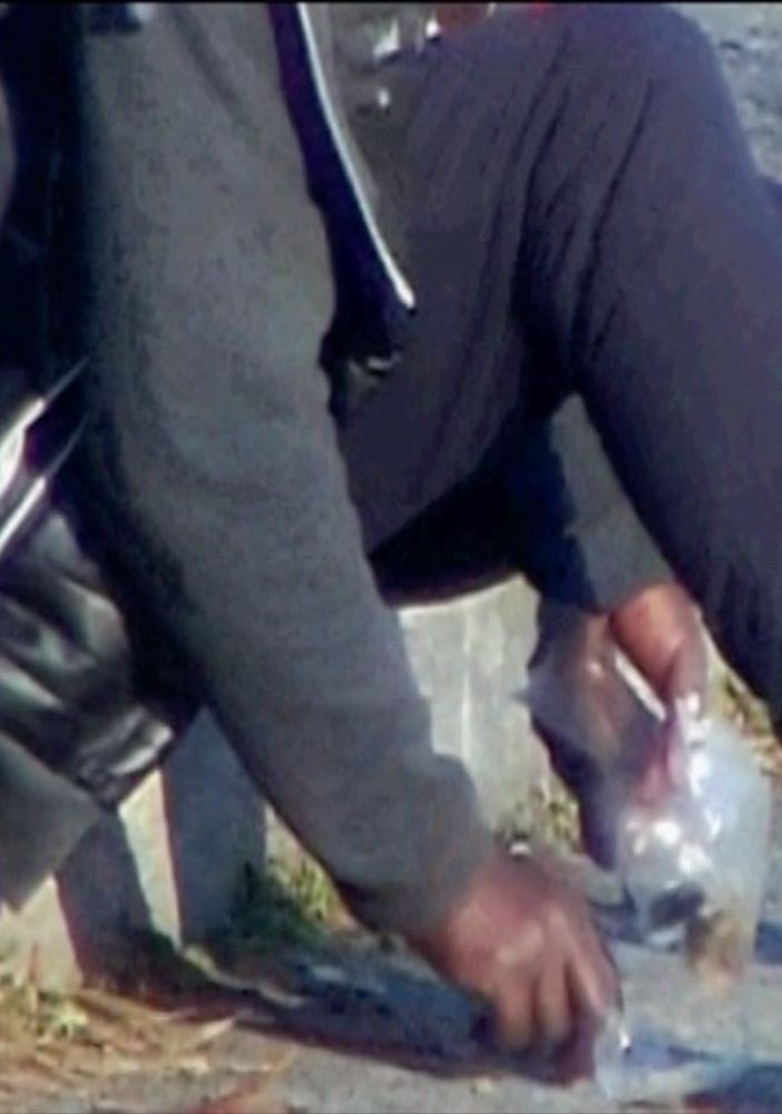 Maxi-retata del Valentino: gli arrestati sono 16, il parco trasformato in un &quot;campo da golf della cannabis&quot;