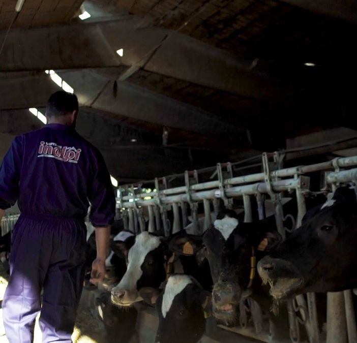 Agricoltori, Inalpi: "Individuare i veri obiettivi della protesta, ma riconoscere anche gli elementi di sostegno" Agricoltori, Inalpi: "Individuare i veri obiettivi della protesta, ma riconoscere anche gli elementi di sostegno"
