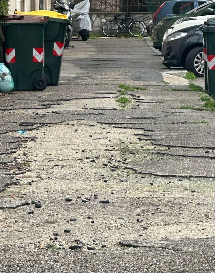 Voragini e manto disastroso in Strada Alberoni: &quot;Nel 2025 riasfaltatura totale&quot;