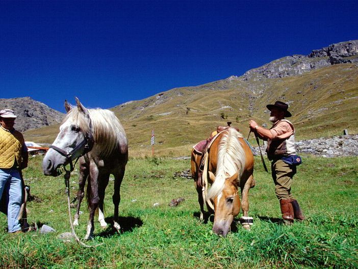 Coldiretti: &quot;Con le indennità compensative boccata d’ossigeno per le imprese agricole della montagna&quot;
