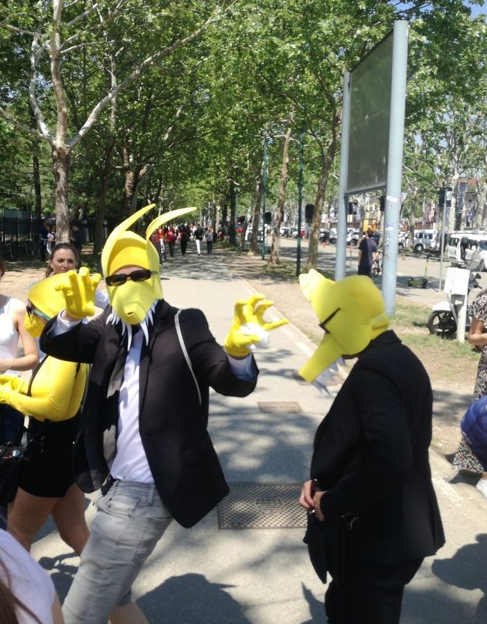 pubblico Eurovision vestito da Subwoolfer