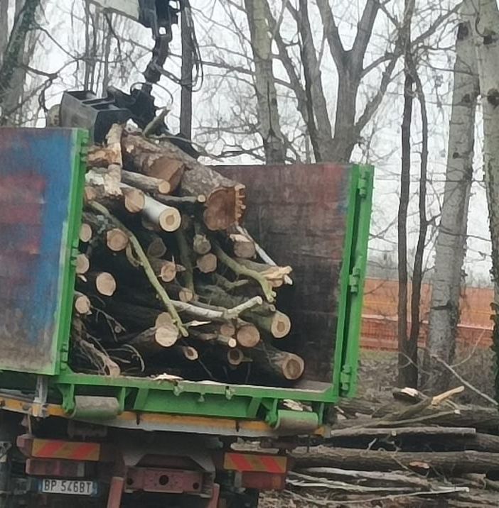 camion con carico di alberi tagliati