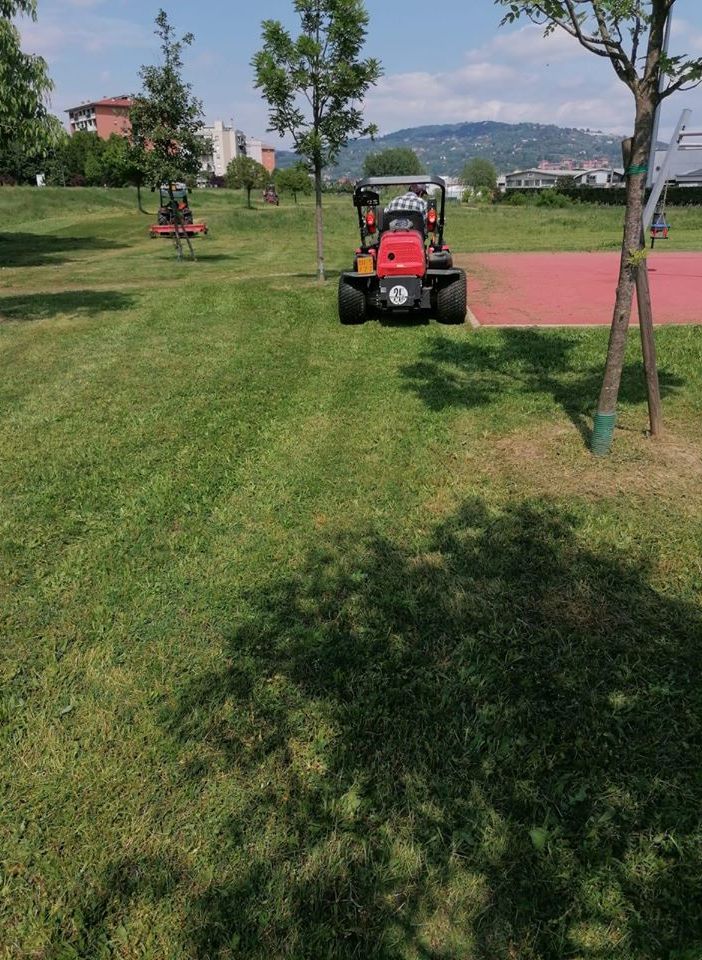 Venaria cerca sponsor per valorizzazione e manutenzione di rotonde e verde pubblico