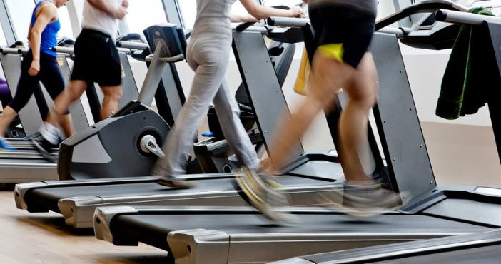 palestra
