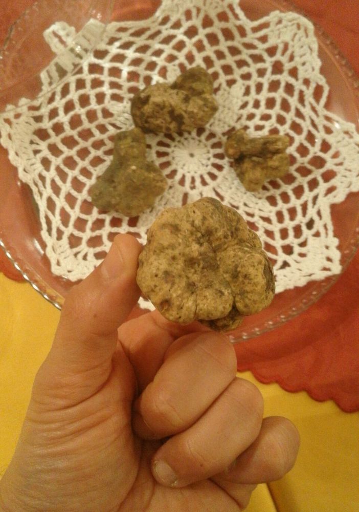 Lasciati coccolare al ristorante la Piola assaporando il pregiato tartufo d'Alba