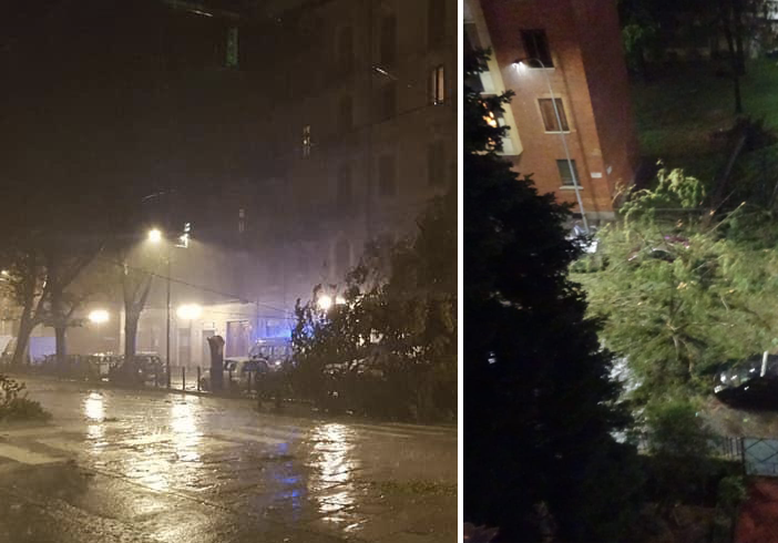 Violento temporale a Torino, decine di alberi caduti in strada: chiuso corso Giulio Cesare