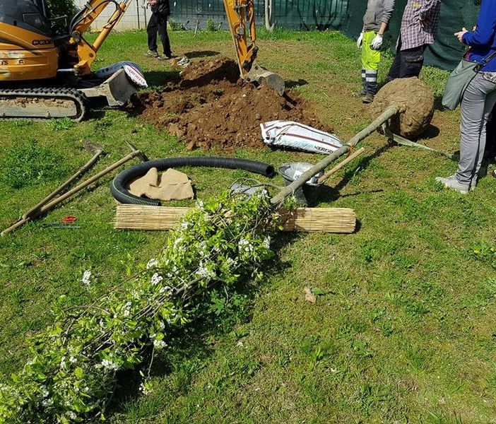 Parella, la Circoscrizione 4 alla ricerca di un gestore per l'Officina Verde Tonolli