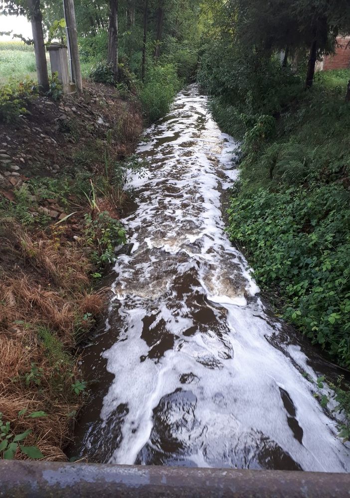 torrente di montagna