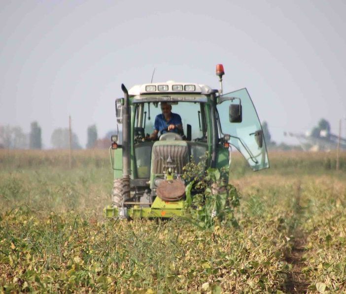 Pubblicati i bandi per l'insediamento dei giovani agricoltori