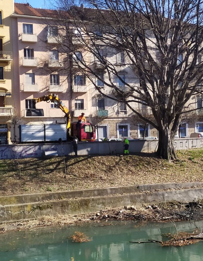 alveo pulito lungo la Dora