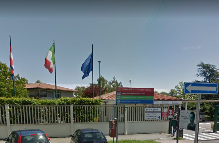 Grugliasco, il caso della Cm Service arriva in Parlamento e il Governo apre un'istruttoria