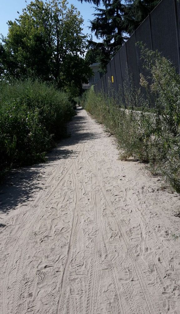 Alluvione 2016, il comune di Torino comunica: &quot;Non ci sono soldi per aggiustare la strada franata tra Valentino e Vallere&quot;