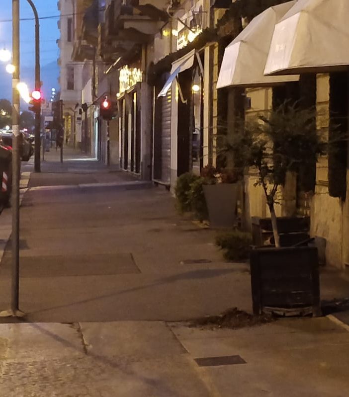 Torino, vandali in azione in corso Stati Uniti, sradicati piante ed alberi
