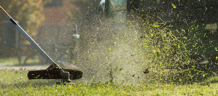 Taglia erba in azione