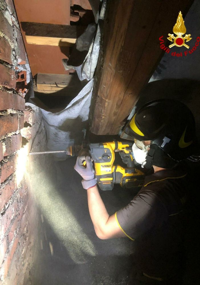 I Vigili del Fuoco portano in salvo un gattino rimasto intrappolato in una canna fumaria