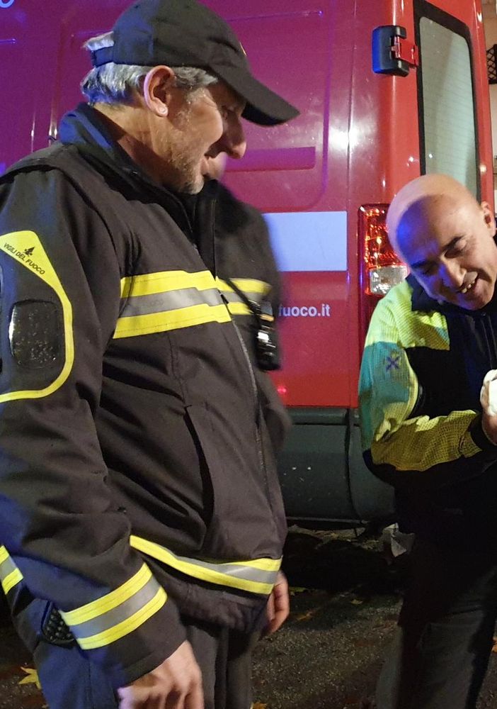 Venaria, i pompieri salvano un gabbiano finito nelle acque del Ceronda