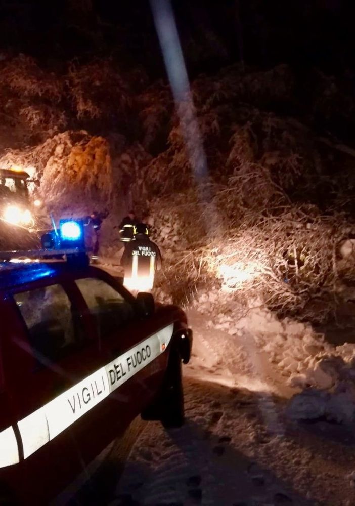 Nevicate abbondanti in quota: i vigili del fuoco in azione per rimuovere gli alberi pericolanti. Disagi verso il Moncenisio: chiusura a Giaglione [FOTO]