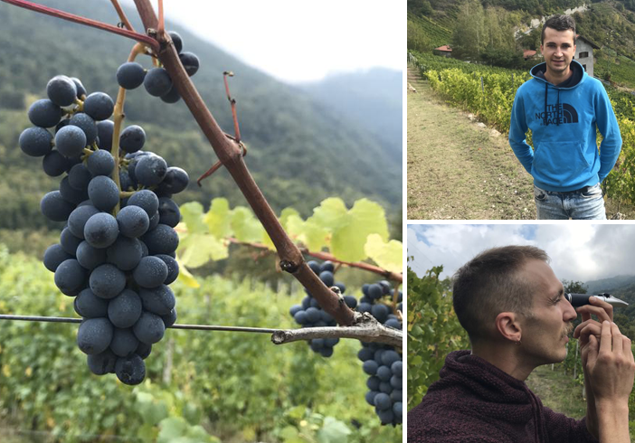 La strada dei vigneti alpini fa tappa in Val Susa: “Qui noi giovani viticoltori vogliamo ripopolare la montagna” [VIDEO e FOTO]