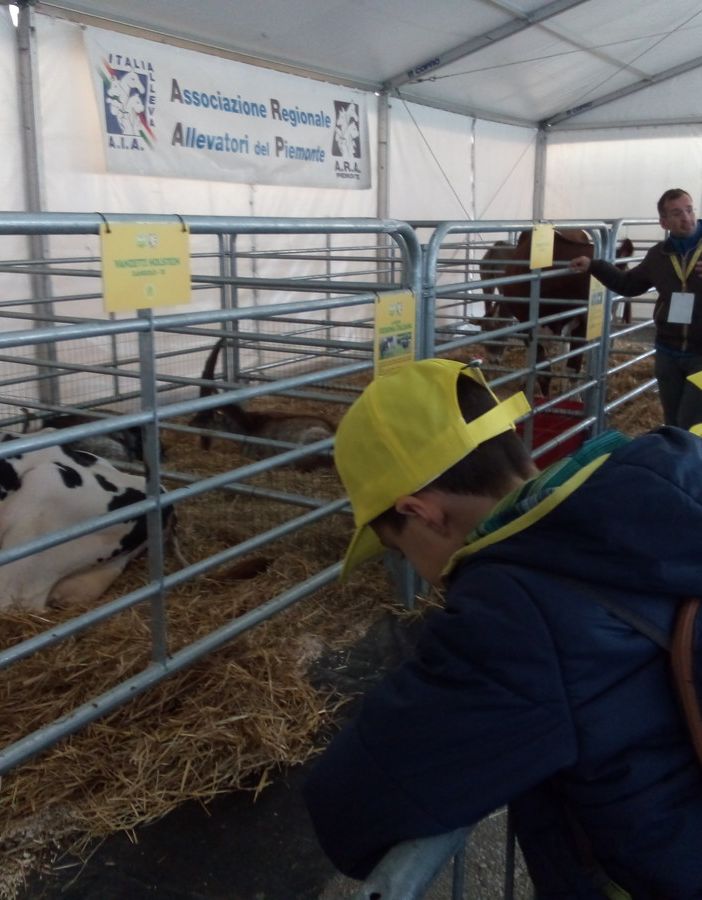 La richesta di Coldiretti Piemonte: &quot;Utilizzare le risorse residue mettendo al centro le imprese agricole&quot;