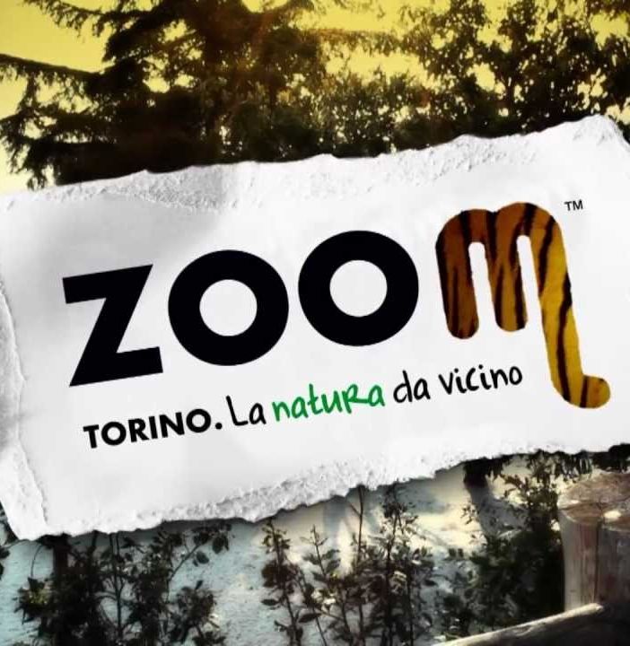 &quot;Zoom al parco Michelotti di Torino? L'intenzione è di andare avanti&quot;