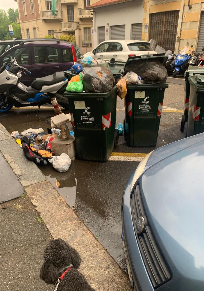 'Furbetti dei rifiuti' e zozzoni in azione tra via Lessolo e via Varallo