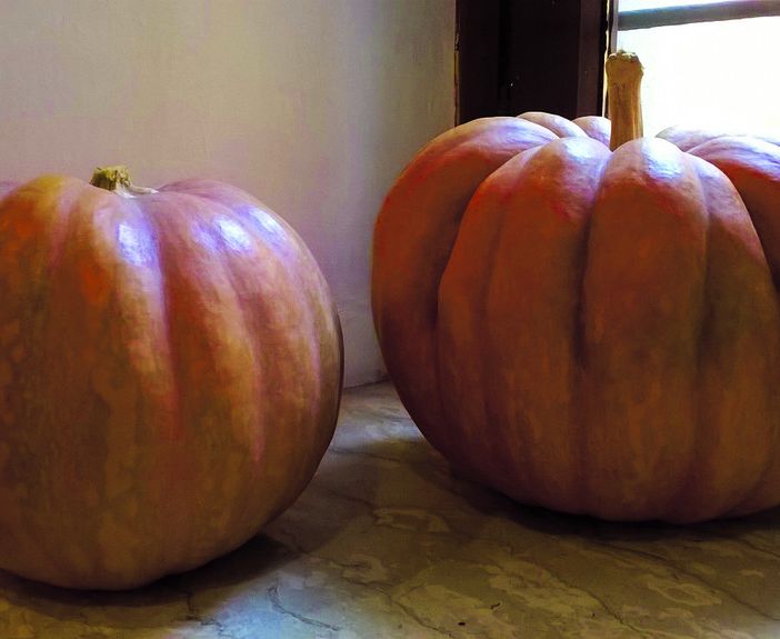 Sagra della Zucca a Brandizzo