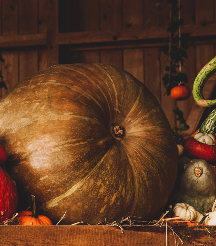 La Casa delle Zucche per un nuovo Halloween