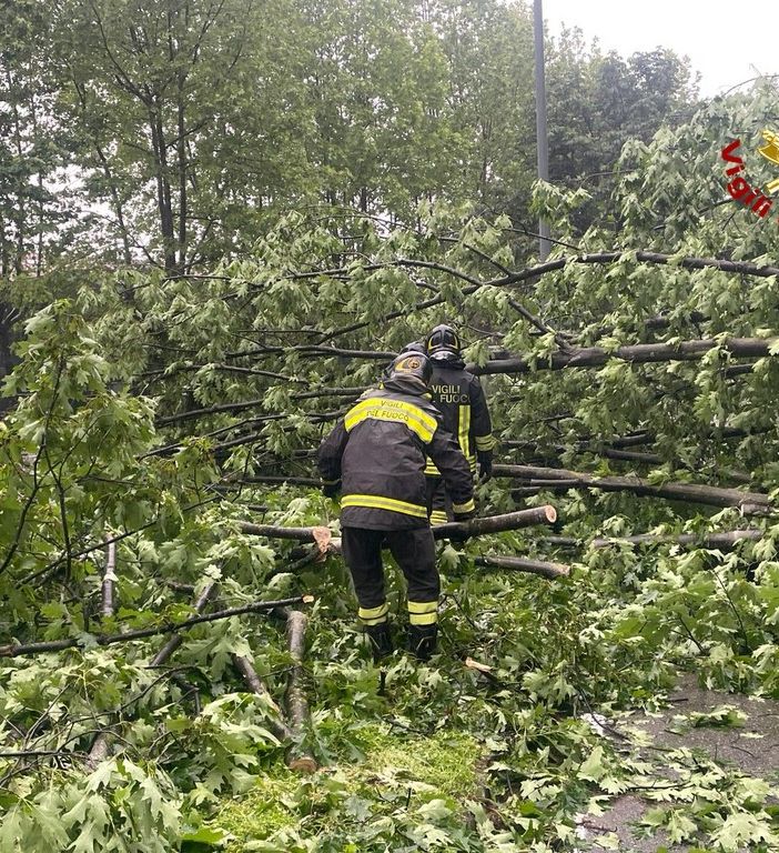 Albero crollato a Nichelino, strade smottate e incidenti a Moncalieri