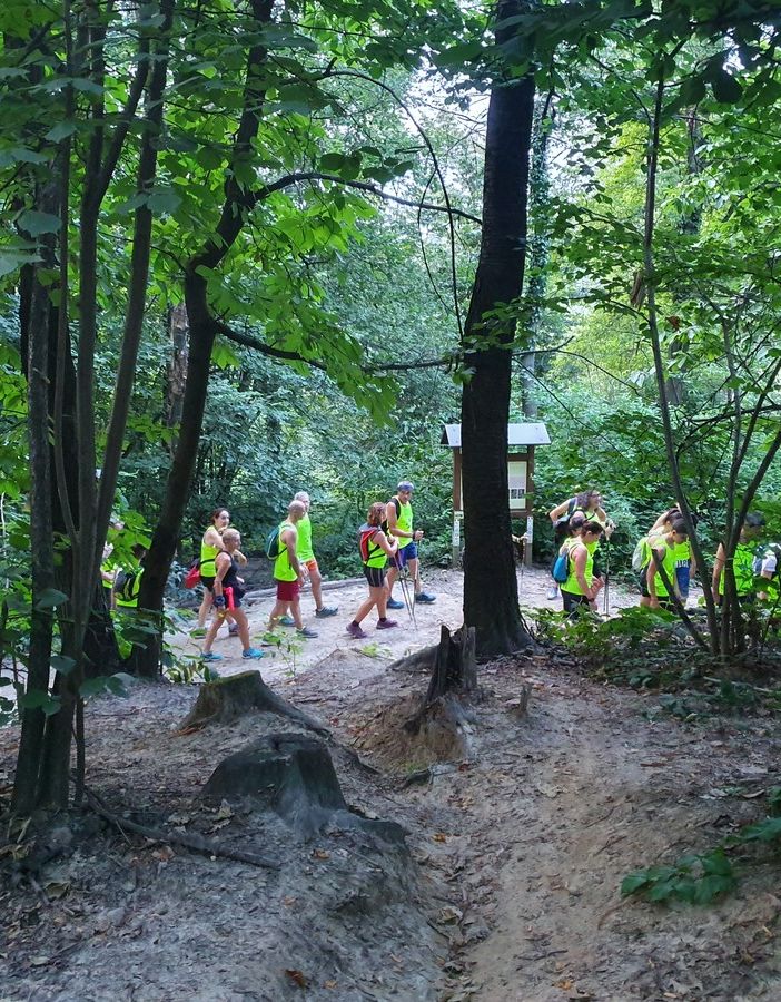 #GreenTOur Correre e Camminare sulla collina di Superga