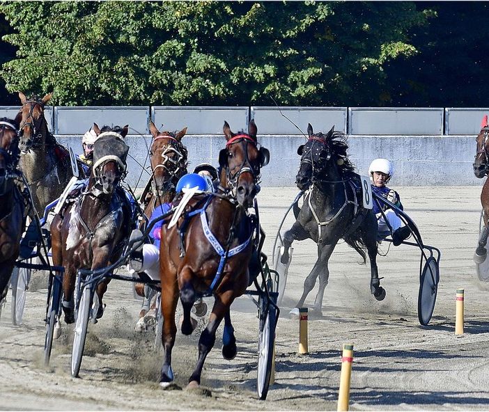 Oggi si gareggia all'ippodromo di Vinovo