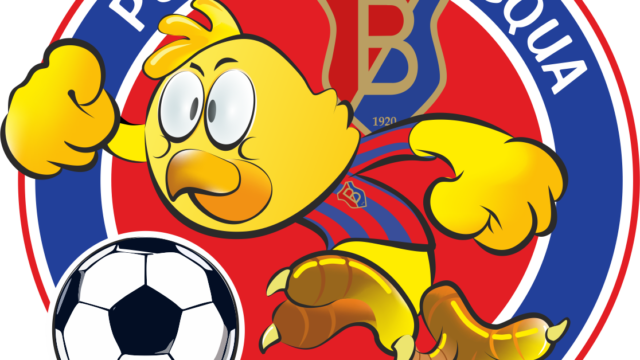 Il &quot;Pulcino di Pasqua&quot; di calcio al via il 4 gennaio