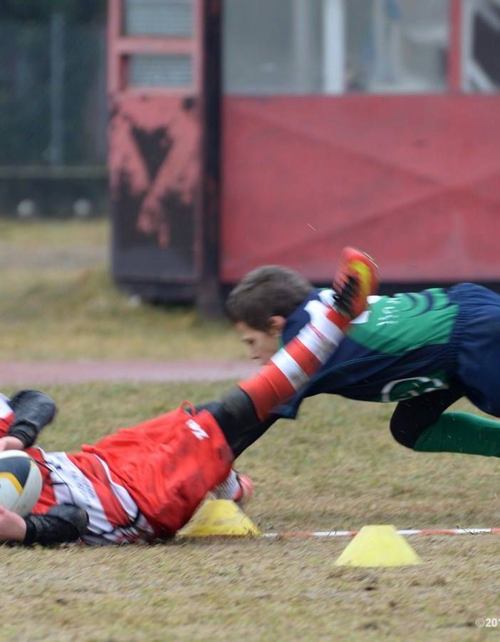 Rugby, tutti gli impegni delle squadre giovani del Rivoli