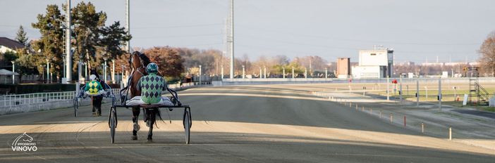 cavalli sulla pista di Vinovo cavalli sulla pista di Vinovo