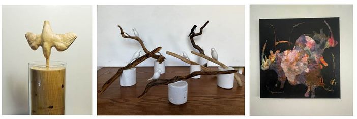 The Pigeon Paradox: a Paratissima il progetto artistico a sostegno di Fondazione Paideia