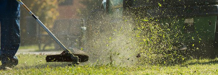 Sponsorizzazione del Verde, nuove linee guida approvate dalla giunta Sponsorizzazione del Verde, nuove linee guida approvate dalla giunta