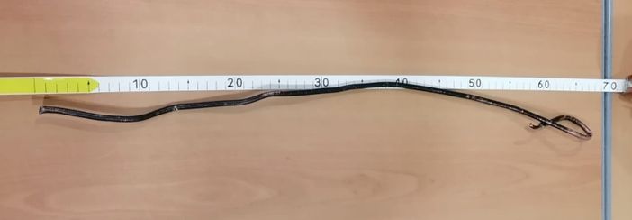 tondino di ferro appuntito sequestrato tondino di ferro appuntito sequestrato