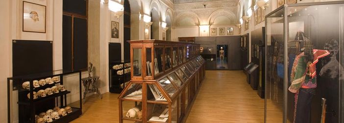 8 Marzo, ingresso gratuito per le donne ai musei di Anatomia e di Antropologia criminale