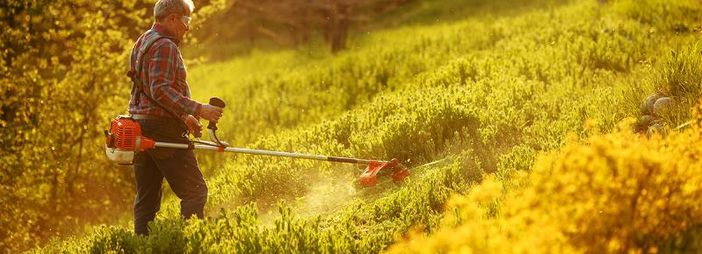 sito agricoltura e giardinaggio sito agricoltura e giardinaggio