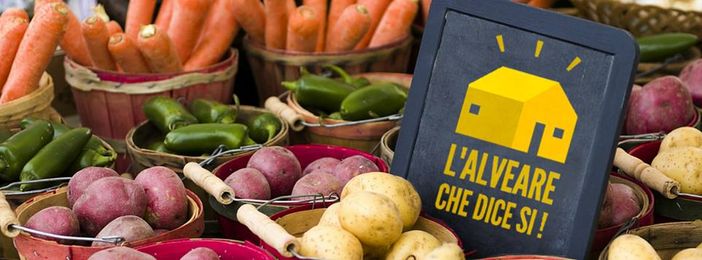 L’Alveare “dice sì” anche a Borgo Rossini L’Alveare “dice sì” anche a Borgo Rossini