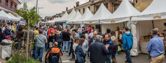 Profumo di formaggio e suoni di festa: a Scalenghe torna la fiera lattiero casearia Profumo di formaggio e suoni di festa: a Scalenghe torna la fiera lattiero casearia