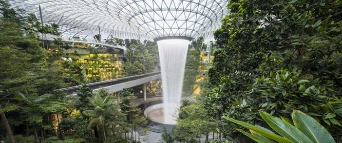 Al via CinemAmbiente, CreativAfrica e Evergreenfest: cosa fare a Torino fino a domenica 8 giugno