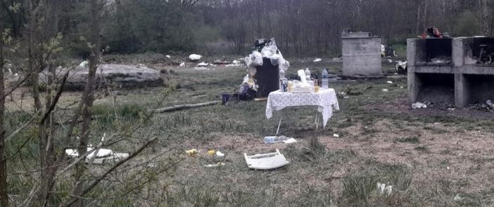 sporcizia boschetto nichelino