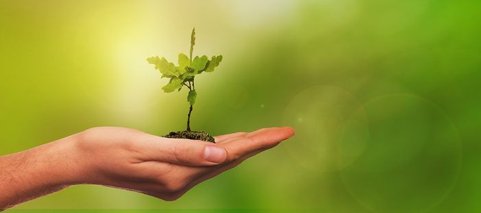 Ambiente: con la ripartenza rigenerare aree interne può valere 2 miliardi Ambiente: con la ripartenza rigenerare aree interne può valere 2 miliardi