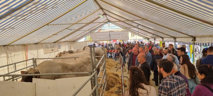 (Foto di repertorio) (Foto di repertorio)