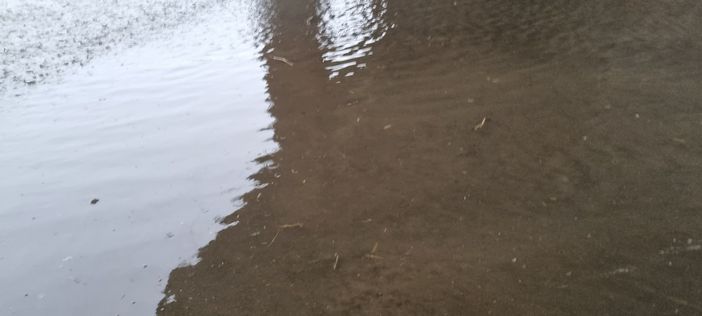 (Foto di repertorio) (Foto di repertorio)